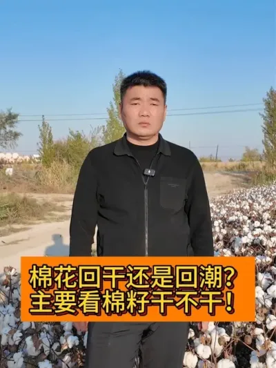 �޻��ظ��վɻس��� ��Ҫ�����Ѹɲ��ɣ� #ݪֲС����#������ũ֧����ũ #ũҵݪֲ���� #��ũ������2025 #����