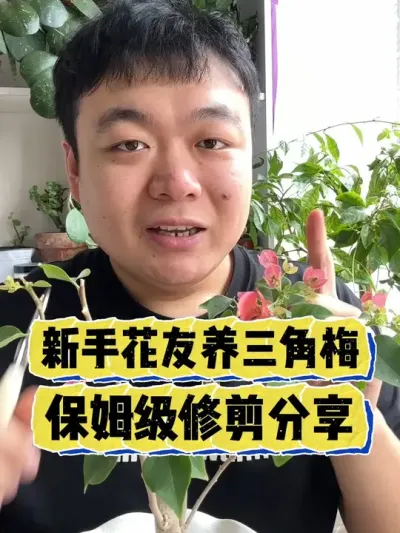 ���ֻ���������÷����ȫ�ı�ķ����ѧ�޼�Ҫ������� #���� #����С֪ʶ #���� #������ֲ #����