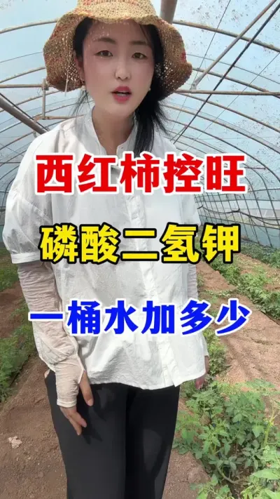 ؿһͰˮӼ #ݪֲ #ݪֲ