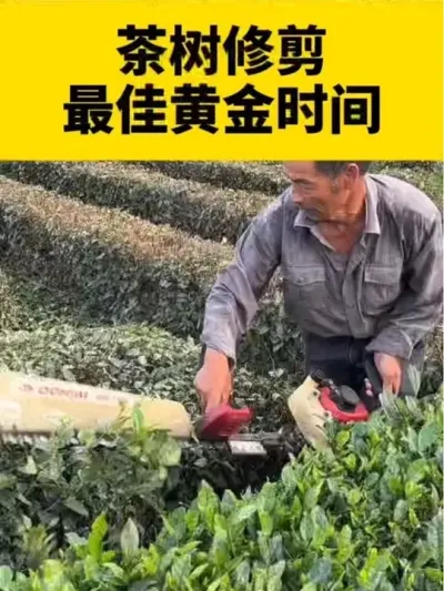 �����޼���ѻƽ�ʱ��#����