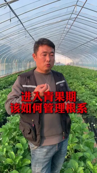 ڸϵ#ݮݪֲ #ݮ #ݮݪֲ #ũҵ֪ʶũ #ũ