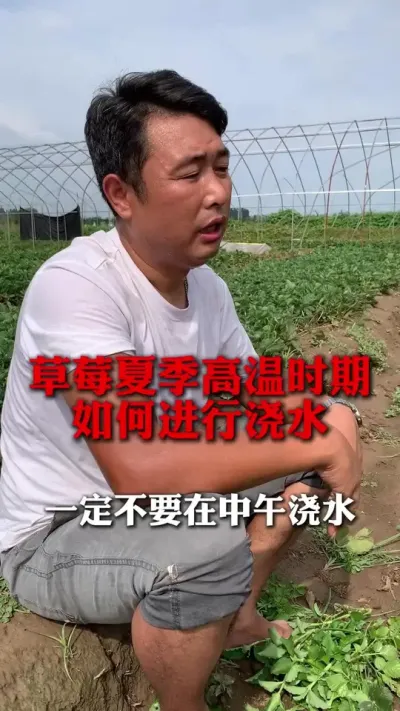 һ����Ҫ�����罽ˮ#��ݮݪֲ #��ݮݪֲ���� #��ݮ���� #��ũ������ #����ũҵ֪ʶ��ũ����������