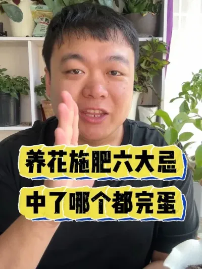 ����ʩ��������������ĸ����군�� #���� #����С֪ʶ #���� #������ֲ #����