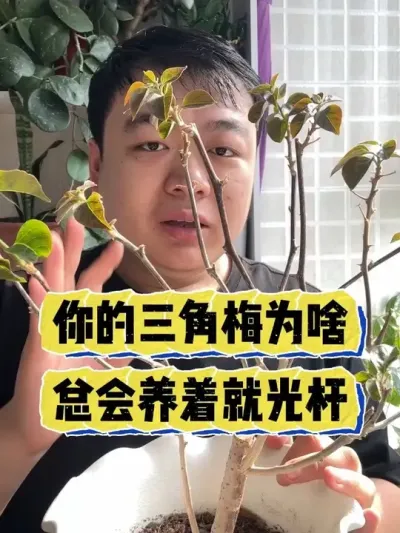 �������÷Ϊɶ�����������ž͹���� #����С֪ʶ #������ֲ #���� #���� #����