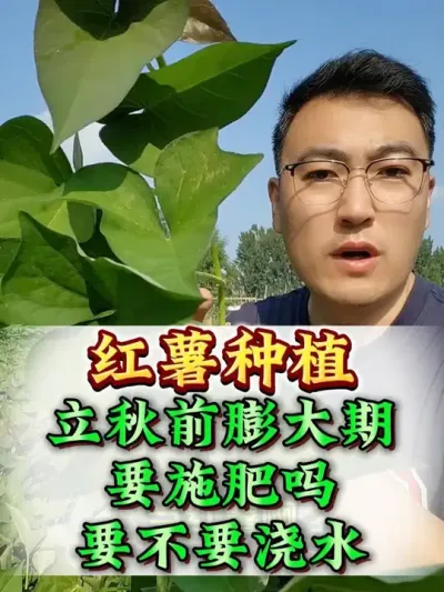 ���������ʩ�ʽ�ˮҪ���� #����ݪֲ #����ݪֲ���� #�����߲� #�����߲�ݪֲ #ũҵݪֲ