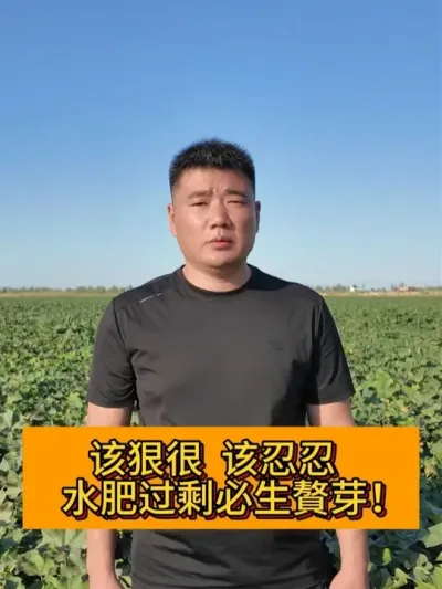 �úݺ�  ������  ˮ�ʹ�ʣ����٘ѿ #��ũ������2025#ݪֲС���� #��ũݪֲ #������ũ֧����ũ #�½��޻�