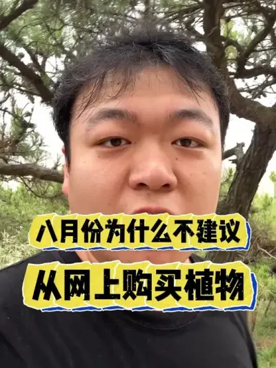 ���Ͻ�����·�����Ϊʲô�����������ʱ����������ֲ���� #���� #����С֪ʶ #���� #������ֲ #����