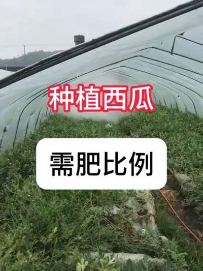 üʱǼ ʩʵ׼ر#ũ֧ũ #ũݪֲ #ݪֲ #ʩ #׼