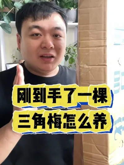 �յ�����һ������÷��Ӧ����ôʵ�������� #���� #����С֪ʶ #���� #������ֲ #����