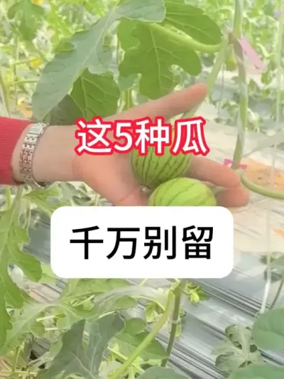 ������ô������ʲôʱ���������� #����ݪֲ #ũ���ƹ� #�������� #��ũ #������ũ