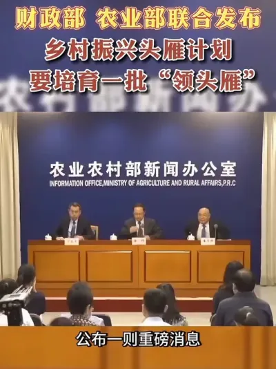 #��ͷ��#��������#��������#���佨��