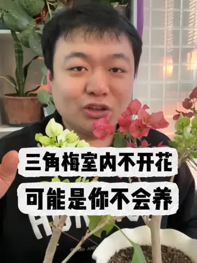 ����÷���ڲ��Ż����������㲻������ #������ֲ #����С֪ʶ #���� #���� #����