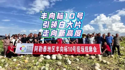 ����˵�ò�����ĺ�#�����