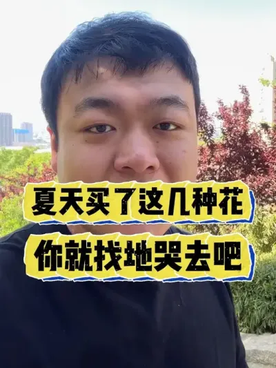 夏天要是买了这几种花，你就找地哭去吧。 #养花 #养花小知识 #花卉 #花卉绿植 #盆栽