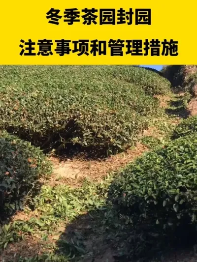 ������԰��԰ע������͹�����ʩ#����