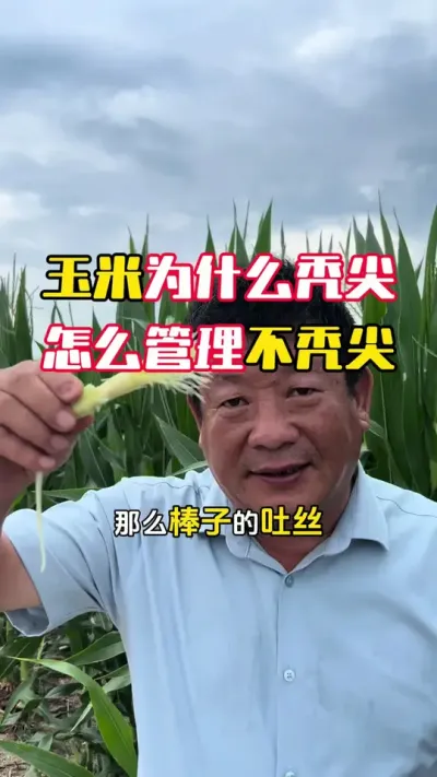 ����Ϊʲô��ͺ������ô�����Ż��ܲ�ͺ����#����ݪֲ #����ݪֲ���� #���׸߲�ݪֲ���� #���׸߲� #ë��������߲�����