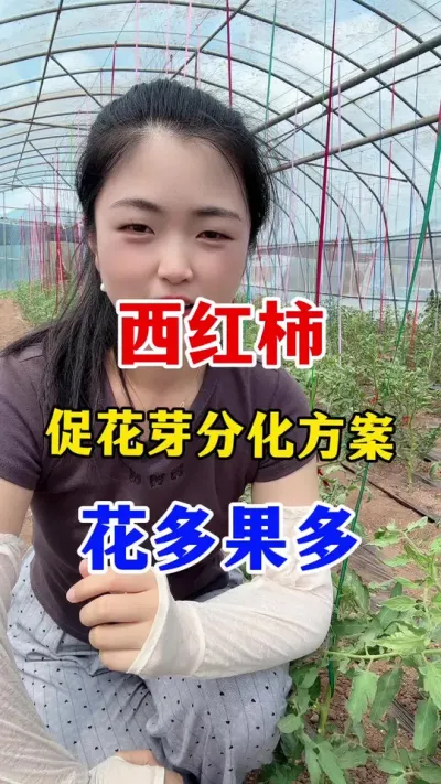 ҪŻЧѿֽƻ #ݪֲ #ݪֲ