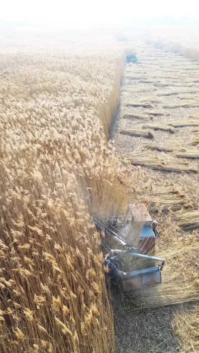 �ո������&hellip;&hellip;