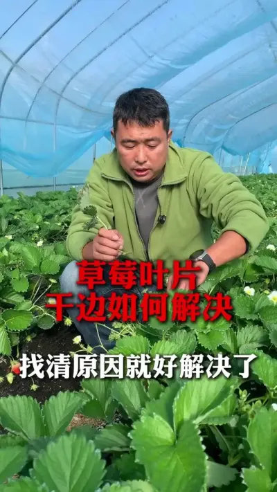 ݮҶƬɱԵԭ#ݮݪֲ #ݮ #ݮݪֲ #ũҵ֪ʶũ #ũ