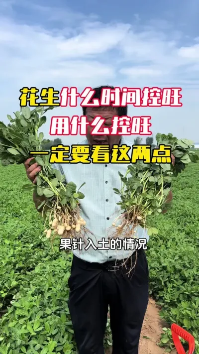 ����ʲôʱ���������ʲô������һ��Ҫע�ؿ���������#����ݪֲ #����ݪֲ�������� #�������� #�����߲� #ë��������߲�����