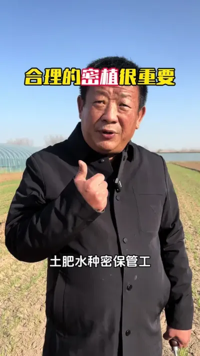 ��������ֲ����Ҫ#С��#С��ݪֲ#ݪֲ�� #С��߲�#ë��������߲�����