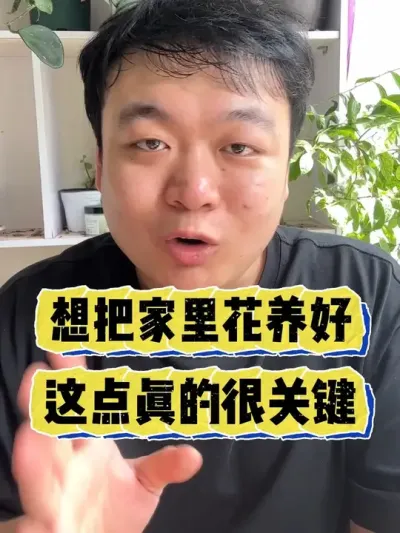 ��Ҫ�ڼҰѻ������������ĺ���Ҫ�� #���� #����С֪ʶ #���� #������ֲ #����