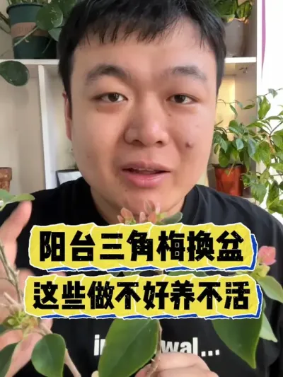 ��̨����÷����Ҫע�����⼸����Ƿ���������� #���� #����С֪ʶ #���� #������ֲ #����