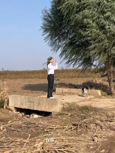 ʱ���������ص����������ڶ�ʱ�߹���С·����Ӱ����Сʱ���·��Сʱ������������Ķ��ǻ��� #�ҵ��������� #���Ӱ��