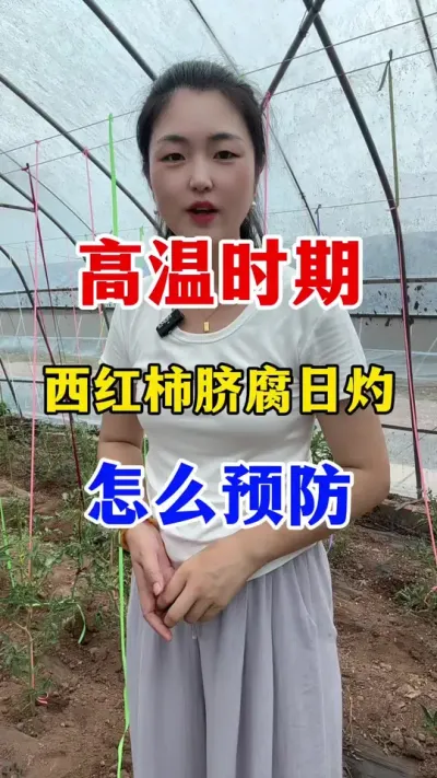 ����ʱ��������������Ԥ���긯�������ƹ����� #������ݪֲ #������ݪֲ����