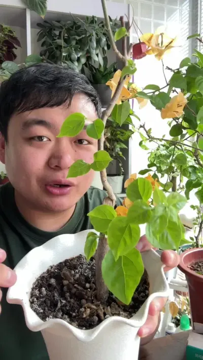 ����÷��������׳�����ڷ�����ô���ٵ��˶��ɷ��� #���� #����С֪ʶ #���� #������ֲ #����÷