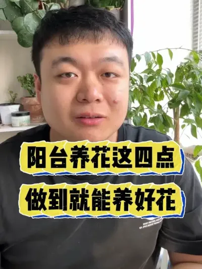 ��̨�������ĵ���������ľ������û��� #���� #����С֪ʶ #���� #������ֲ #����