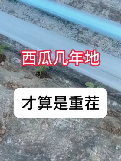 ���ϲ����ز��Ե��ԭ���������ز���Ҫ�� #����ݪֲ #�ز� #ũ���ƹ� #��ũ #������ũ