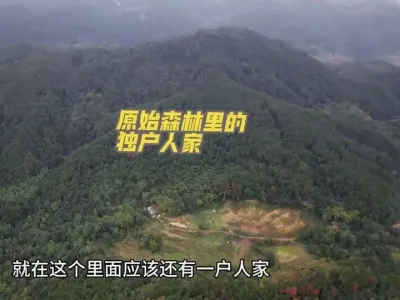 һͼ϶ûֵԭʼǼʮĶԭʼɭӾͲһλѮڴݪֲֳΪ#ũ #Դ ##ɽ˼