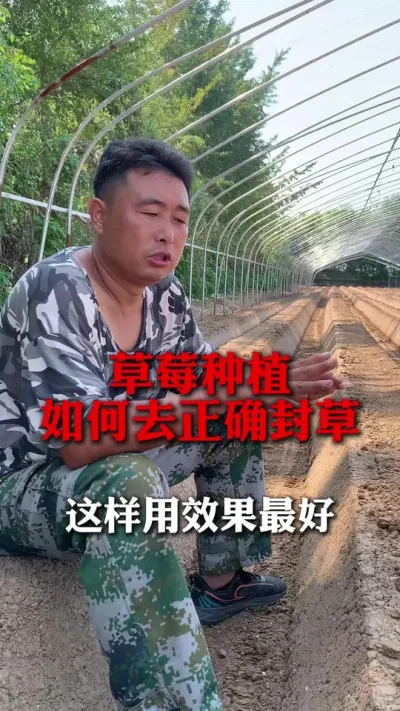 ݮЧ#ݮݪֲ #ݮ #ݮݪֲ #ũ #ũҵ֪ʶũ