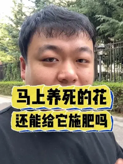 ���������Ļ������ܸ���ʩ������ #���� #����С֪ʶ #���� #������ֲ #����