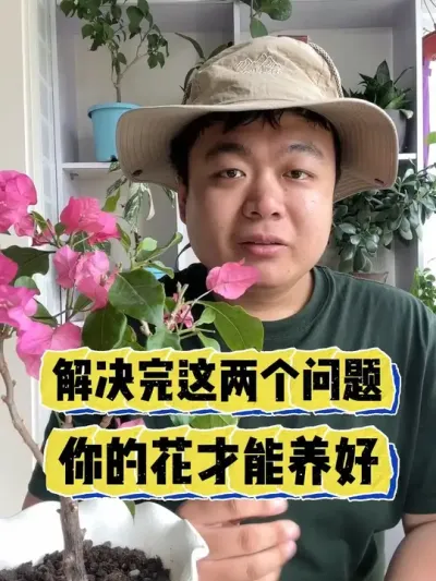 解决完这两个问题，你的花才能养好。 #养花 #养花小知识 #花卉 #花卉绿植 #盆栽