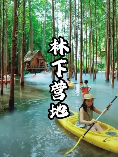 ����Ӫ��#��������  #�滮���  #�ܶ�����  #Ӫ�ع滮