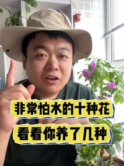 非常怕水的十种花，看看你养了几种。 #养花 #养花小知识 #花卉 #花卉绿植 #盆栽