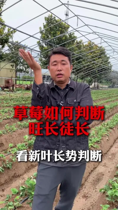 жͽ#ݮݪֲ #ݮ #ݮݪֲ #ũ #ũҵ֪ʶũ