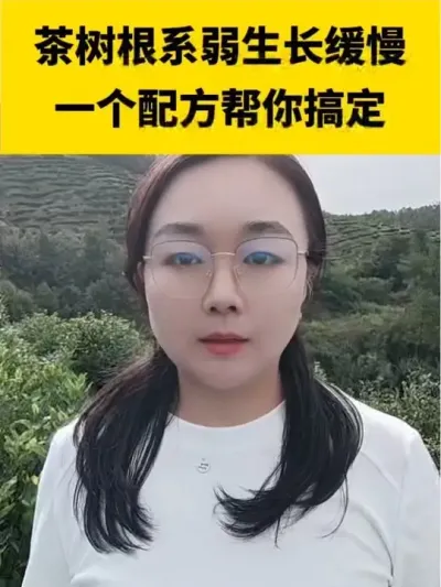 ������ϵ������������һ���䷽����㶨#����