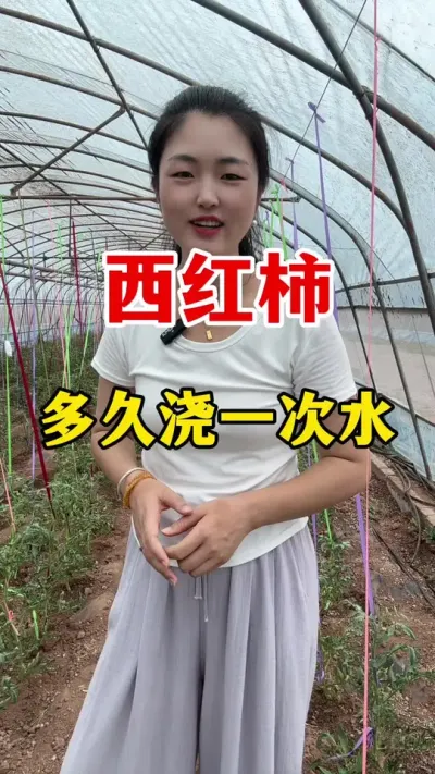 �������������ʱ�ڶ�ý�һ��ˮ�� #������ݪֲ #������ݪֲ����