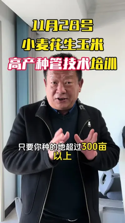 11��28С�������׸߲��ֹ�������ѵ#С��߲� #С��߲�����#С��߲�����#С��ݪֲ #ë��������߲�����