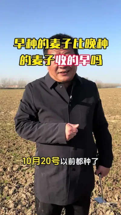 �ֵ����С�����ֵ������յ�����#С��#С��ݪֲ#ݪֲ�� #С��߲�#ë��������߲�����