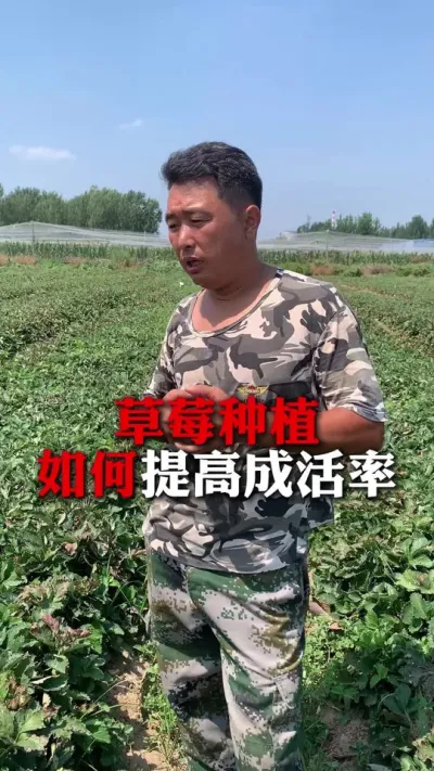 ������߳ɻ���#��ݮݪֲ #��ݮ���� #��ݮݪֲ���� #����ũҵ֪ʶ��ũ���������� #��ũ������