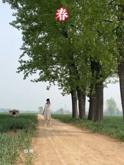 ��������һ�����������ϼ�һ������С·�Ĵ����ﶬ�����ɶ̶̵ļ�ʮ����һ������Ļû������˵�һ�������ꡢ���ꡢ���ꡢ������������ѭ������ȴ�������꣡ #��С����ĵط� #�����ﶬ #���Ӱ�� #�ҵ�����