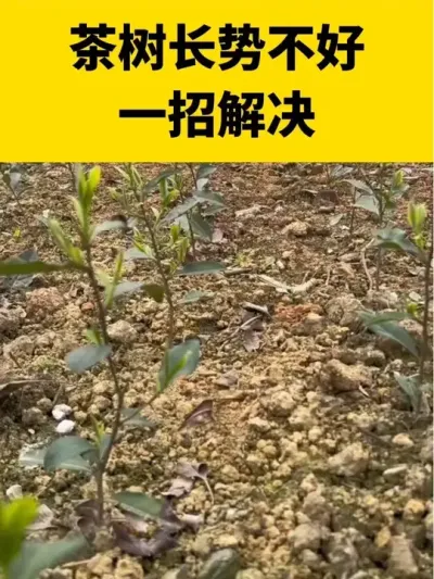 ��������Ƿ��һ�а�����#����