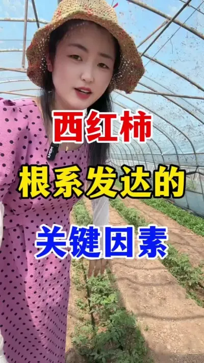 ӰϵҪʲô #ݪֲ #ݪֲ