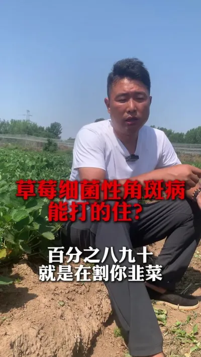 ��ݮϸ���Խǰ߲��ܴ�ס��#��ݮ���� #��ݮݪֲ #��ݮݪֲ���� #��ũ������ #����ũҵ֪ʶ��ũ����������