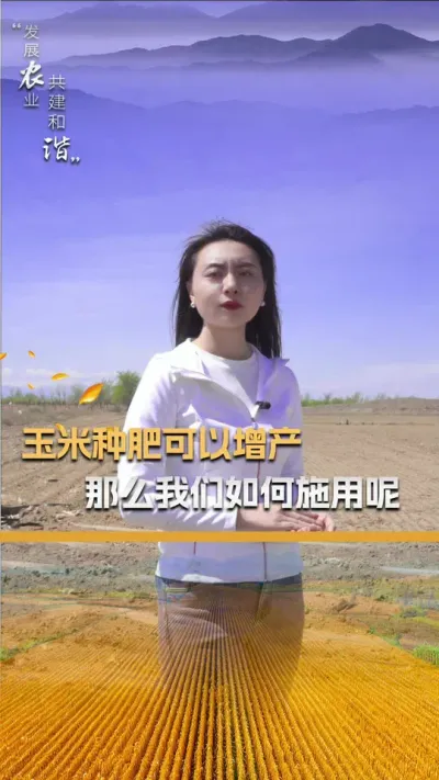 玉米种肥可以增产，那么我们如何施用呢#玉米种植 #玉米种植技术 #玉米种子 #三农 #抖音新农人