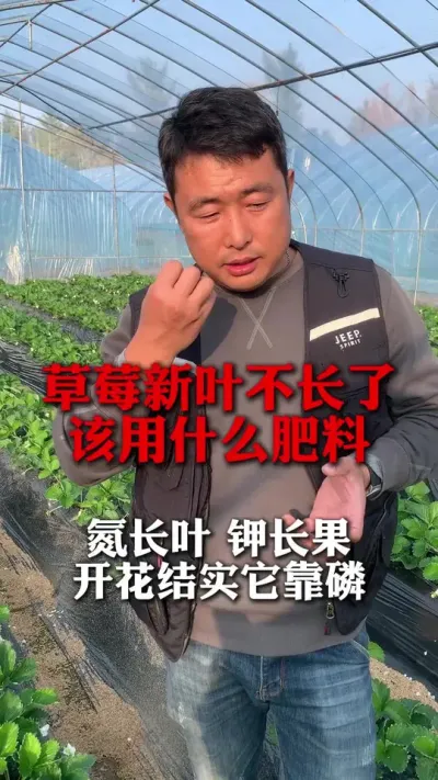 Ҷʲô#ݮݪֲ #ݮ #ݮݪֲ #ũҵ֪ʶũ #ũ